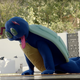 Illustration for article titled Pokémon Should Be Offended By Maroon 5s Bad Dont Wanna Know Video